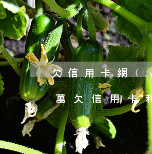 欠信用卡網(wǎng)貸怎樣還將近二十萬(欠信用卡和網(wǎng)貸二十萬怎么辦)