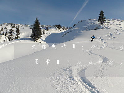 欠信用卡網(wǎng)貸想人死債消(欠信用卡網(wǎng)貸想人死債消)