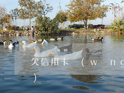 欠信用卡網(wǎng)貸成老賴(lài)