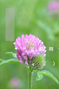 欠信用卡網(wǎng)貸按揭房子會(huì)法拍嗎(欠信用卡和網(wǎng)貸能買(mǎi)房嗎)