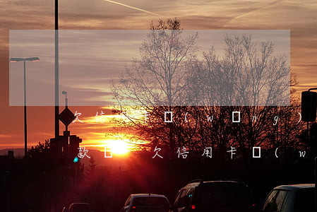 欠信用卡網(wǎng)貸是按起訴順序還款嗎-欠信用卡網(wǎng)貸是按起訴順序還款嗎怎么辦