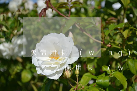欠信用卡網(wǎng)貸會扣我銀行卡的錢-欠信用卡網(wǎng)貸會扣我銀行卡的錢嗎