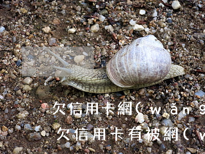 欠信用卡網(wǎng)貸會被全國通緝嗎（欠信用卡有被網(wǎng)通的嗎）
