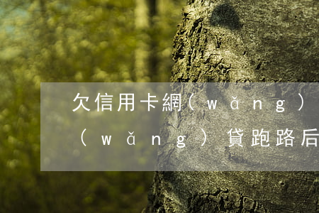 欠信用卡網(wǎng)貸案例(欠信用卡網(wǎng)貸跑路后果)