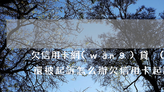 欠信用卡網(wǎng)貸沒(méi)錢還被起訴怎么辦(欠信用卡起訴了沒(méi)錢還怎么辦)