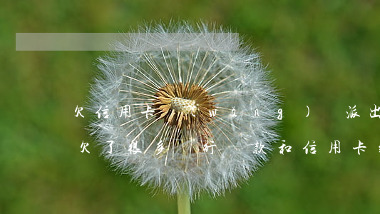 欠信用卡網(wǎng)貸派出所會介入嗎(欠了很多銀行貸款和信用卡到派出所可以嗎)