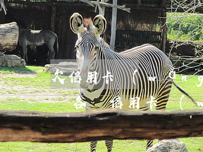 欠信用卡網(wǎng)貸無(wú)力償還（各種信用卡網(wǎng)貸還不起）
