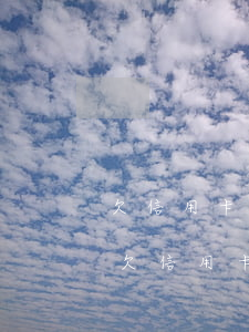 欠信用卡網(wǎng)貸無力償還離婚了(欠信用卡網(wǎng)貸無力償還會怎樣)