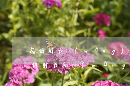 欠信用卡網(wǎng)貸無力還會怎樣(欠信用卡和網(wǎng)貸無法還)