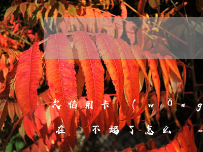 欠信用卡網(wǎng)貸現(xiàn)在還不起了怎么辦-欠信用卡網(wǎng)貸現(xiàn)在還不起了怎么辦呢