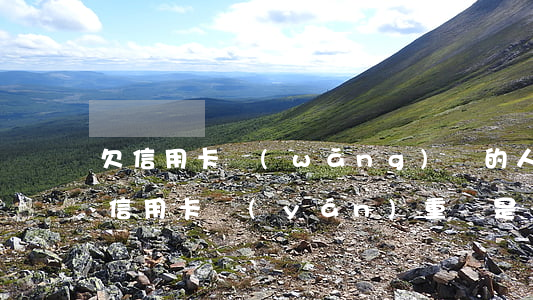 欠信用卡網(wǎng)貸的人越來越多(欠信用卡嚴(yán)重還是網(wǎng)貸嚴(yán)重)