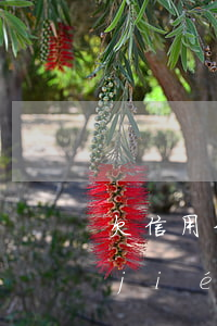 欠信用卡網(wǎng)貸的女人還能結(jié)婚嗎(女生欠網(wǎng)貸信用卡十幾萬)
