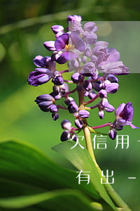 欠信用卡網(wǎng)貸的錢40歲了沒有出-欠信用卡網(wǎng)貸的錢40歲了沒有出利息