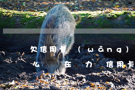 欠信用卡網(wǎng)貸的錢無力償還怎么辦(實在無力還信用卡和網(wǎng)貸怎么辦)