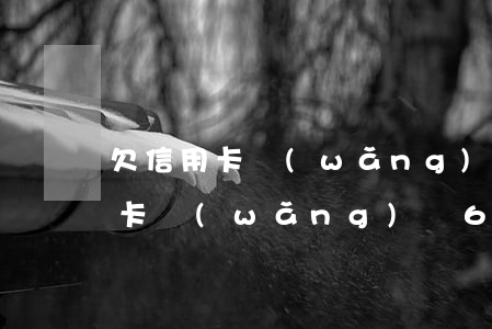 欠信用卡網(wǎng)貸的錢跑路(欠信用卡網(wǎng)貸60多萬)