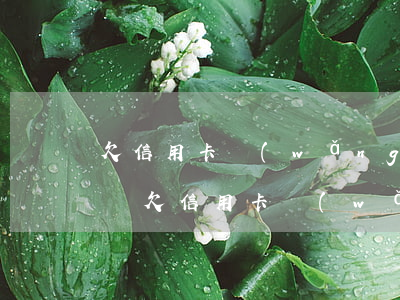 欠信用卡網(wǎng)貸經(jīng)歷(欠信用卡網(wǎng)貸經(jīng)歷)