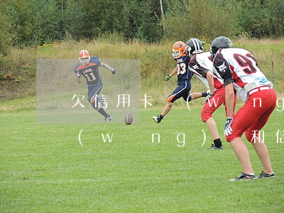 欠信用卡網(wǎng)貸自首(欠了很多網(wǎng)貸和信用卡還不上可以自首嗎)