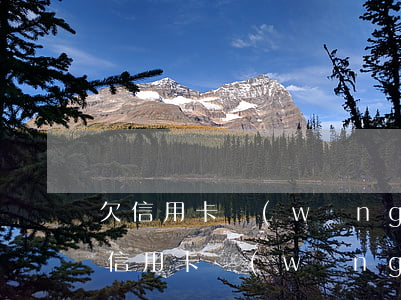欠信用卡網(wǎng)貸跑路如何生存(欠信用卡網(wǎng)貸跑路后果)