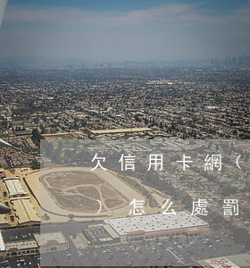欠信用卡網(wǎng)貸逾期會(huì)怎么處罰(網(wǎng)貸逾期是否影響信用卡)