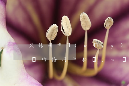 欠信用卡 網(wǎng)貸還不上怎么辦(欠銀行信用卡和網(wǎng)貸還不上怎么辦)