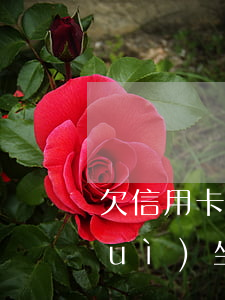 欠信用卡網(wǎng)貸還不起了會(huì)坐牢嗎-