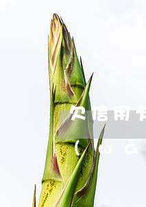 欠信用卡網(wǎng)貸錢還不起了(欠網(wǎng)貸信用卡十幾萬(wàn)還不上怎么辦)