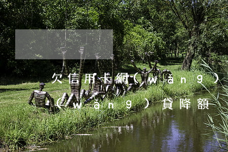 欠信用卡網(wǎng)貸降額(欠信用卡網(wǎng)貸降額)