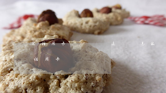欠信用卡網貸萬無法償還怎么辦(欠網貸不欠信用卡)