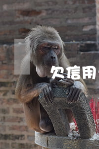 欠信用卡總額30萬(欠信用卡總共30萬)