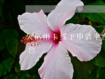 欠信用卡线下申请平台(欠信用卡线下申请平台)