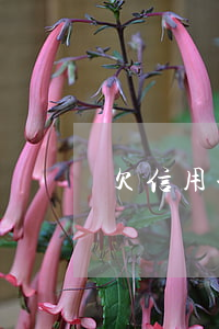 欠信用卡经侦队