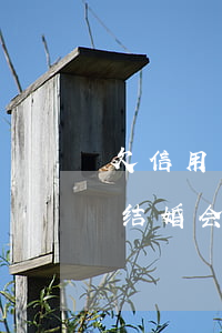 欠信用卡结婚会查出对方信息吗-欠信用卡结婚会查出对方信息吗知乎
