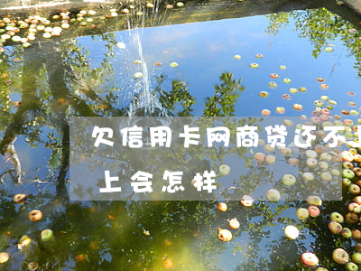 欠信用卡网商贷还不上怎么办(欠网商贷还不上会怎样)