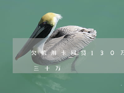 欠信用卡网贷130万(欠信用卡加网贷总共三十万)