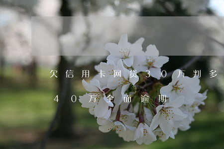 欠信用卡网贷30万判多久(欠信用卡和网贷40万全面逾期)