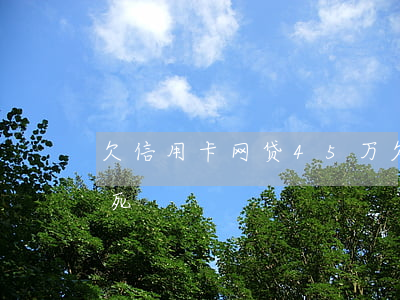 欠信用卡网贷45万(欠网贷信用卡14万想死)