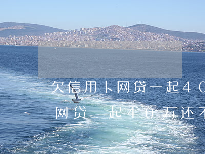 欠信用卡网贷一起40万还不上-欠信用卡网贷一起40万还不上怎么办