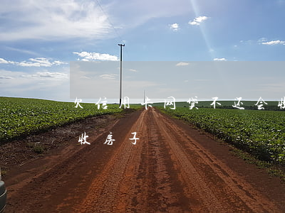 欠信用卡网贷不还会收房子吗(欠网贷会不会收房子)