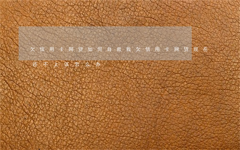 欠信用卡网贷如何自救(我欠信用卡,网贷,现在还不上,该怎么办)