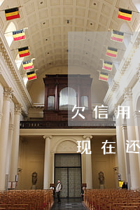 欠信用卡网贷怎么可以解决(我欠信用卡,网贷,现在还不上,该怎么办)