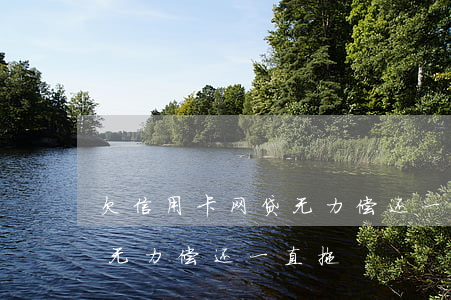 欠信用卡网贷无力偿还一直拖(欠信用卡网贷无力偿还一直拖)