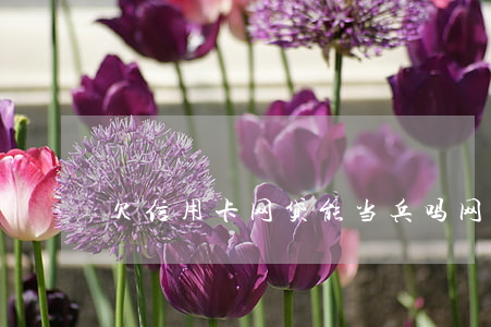 欠信用卡网贷能当兵吗(网贷欠钱可以当兵吗)