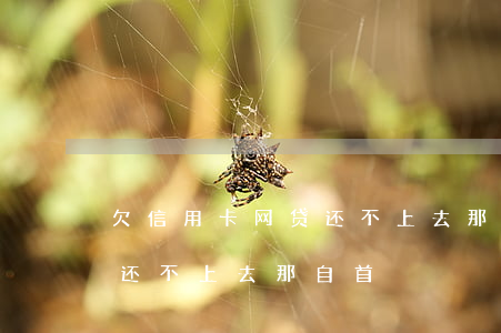 欠信用卡网贷还不上去那自首(欠信用卡网贷还不上去那自首)