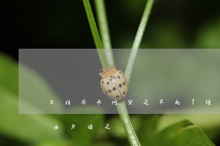 欠信用卡网贷还不起了睡不着(欠网贷信用卡无力偿还)