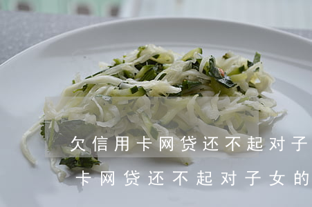 欠信用卡网贷还不起对子女的影响-欠信用卡网贷还不起对子女的影响大吗
