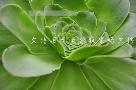 欠信用卡老家报案吗(欠信用卡今天找到家里)