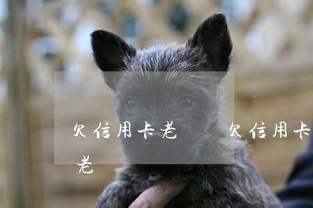 欠信用卡老賴嗎(欠信用卡會(huì)成為老賴嗎)