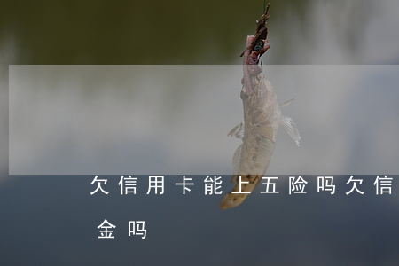 欠信用卡能上五险吗 欠信用卡可以交五险一金吗