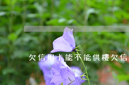 欠信用卡能不能供樓（欠信用卡能不能供樓）