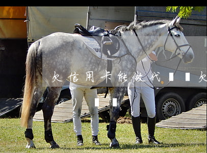 欠信用卡能做代駕嗎(欠信用卡能辦車(chē)貸嗎)